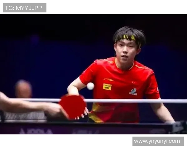 专访羽毛球明星杨磊探索他成功背后的秘密与坚持