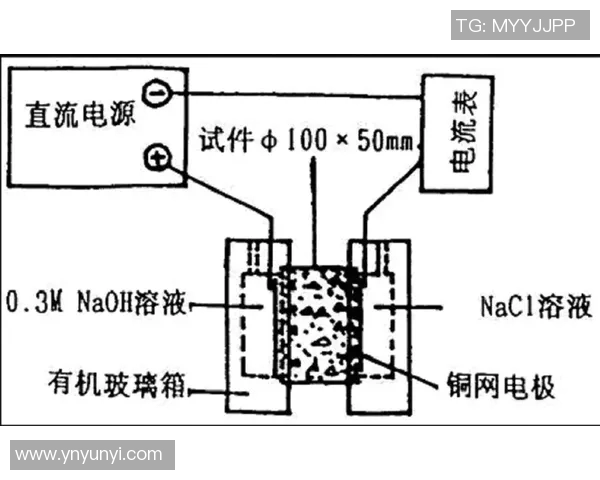 广州排球队边路渗透战术分析及其对比赛结果的影响探讨 广州排球队边路渗透战术分析及其对比赛结果的影响探讨