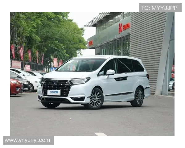 足球明星艾力绅的传奇之路与背后的奋斗故事 足球明星艾力绅的传奇之路与背后的奋斗故事