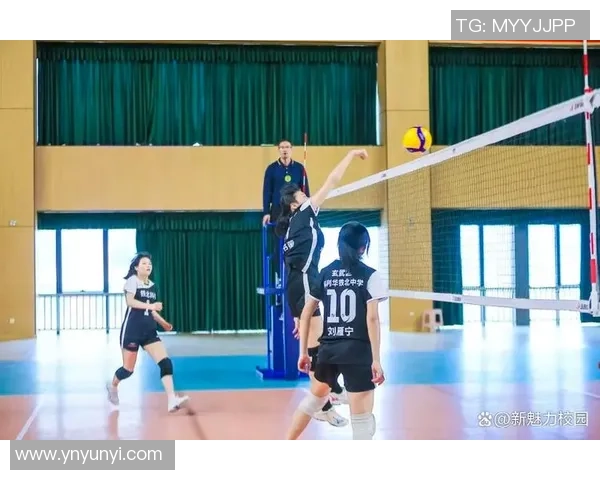 排球专题：聚焦南京排球队的战术